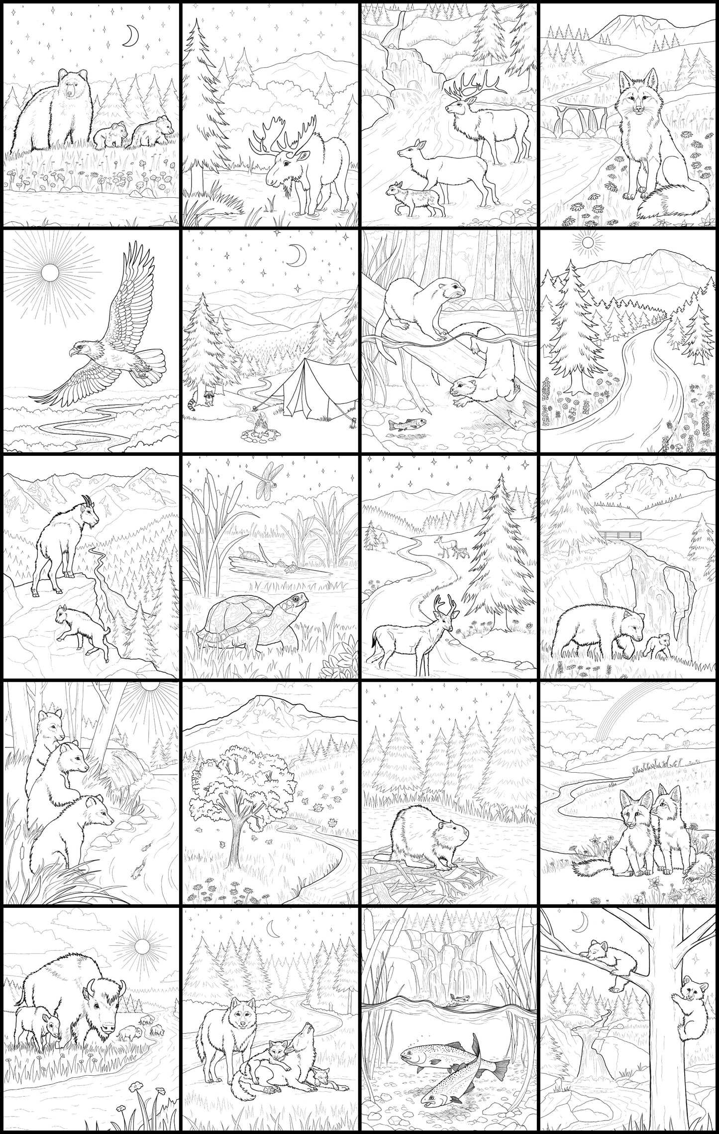 Discover at The River