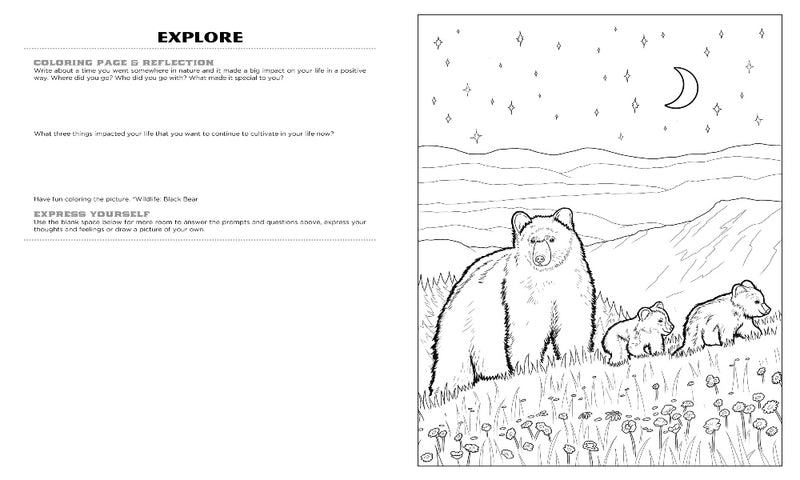 Discover Smoky Mountain<br/>expressive art<br/>coloring activity book