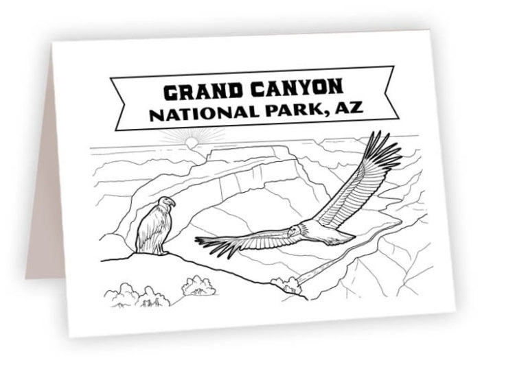 CCNP_13 - Grand Canyon Condor