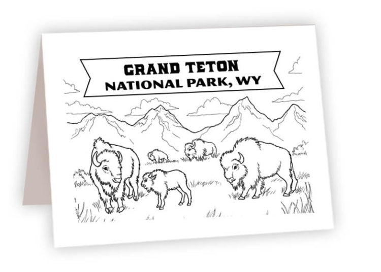 CCNP_40 - Grand Teton Bison