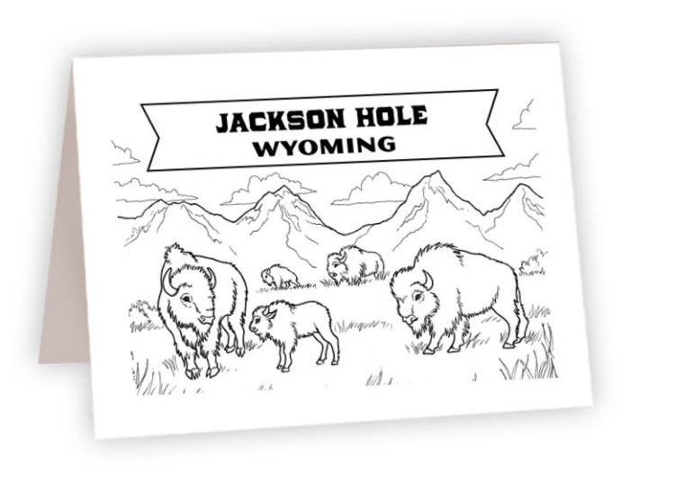 CCND_08<br/>Jackson Hole Bison