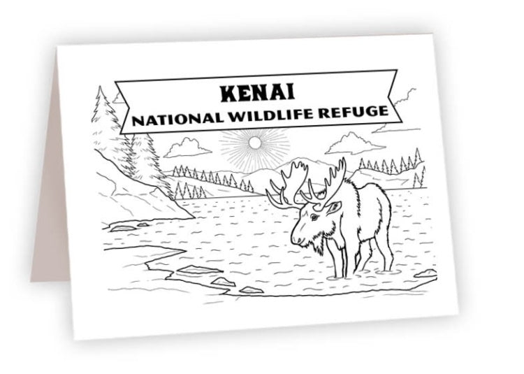 CCNP_28 - Kenai, Alaska Moose