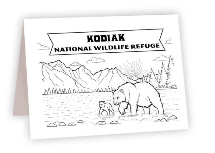 CCNP_25<br/>Kodiak Alaska Bears