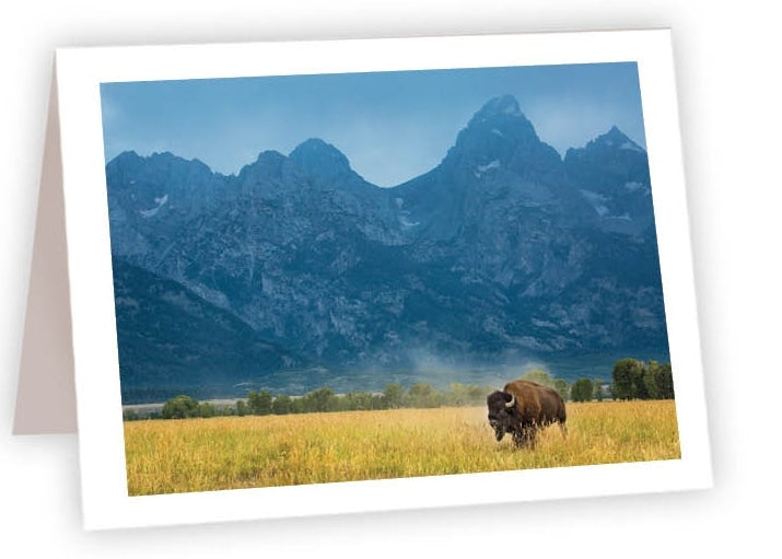 RN37 - Bison mountain range