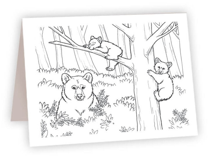 CCR03 - Bears Eat, Play, Nap