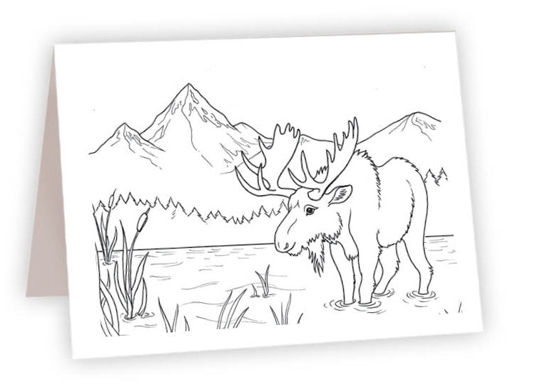 CCR16 - Moose in river