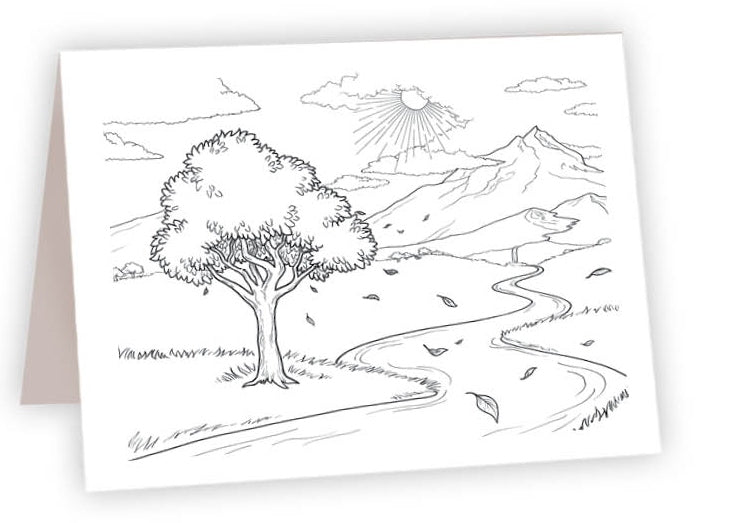 CCR24 - Tree of Life