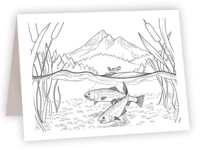 CCR19 - Rainbow Trout