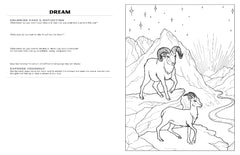 Discover Rocky Mountain<br/>expressive art<br/>coloring activity book