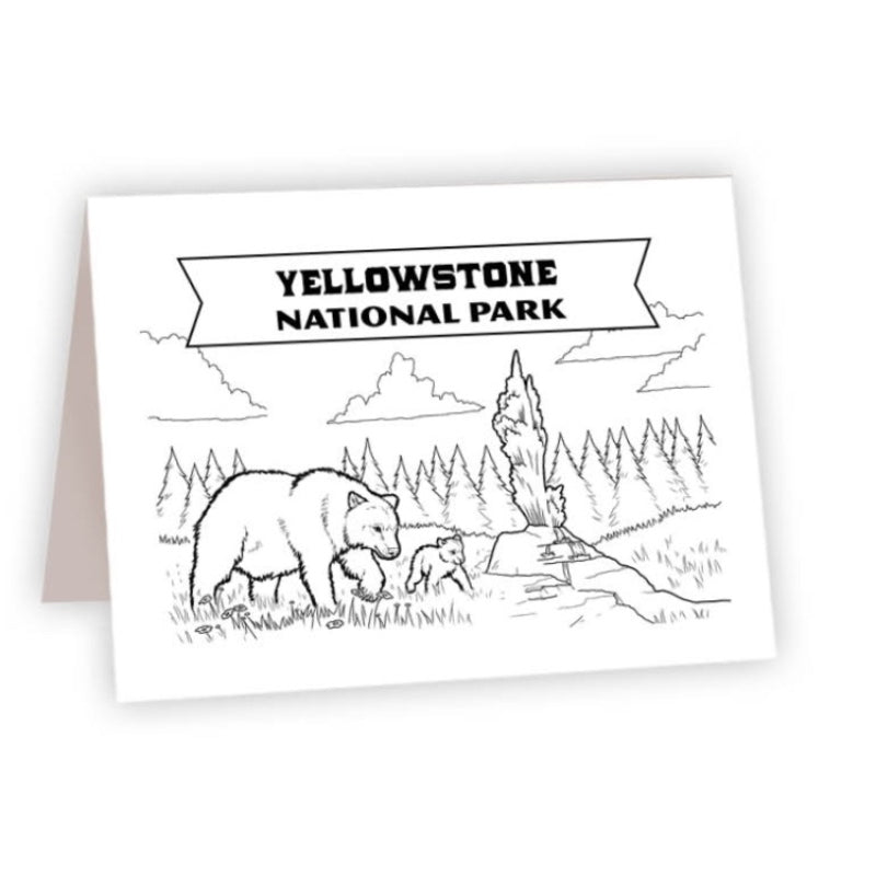 CARDS - COLOR NATURE NAME DROP