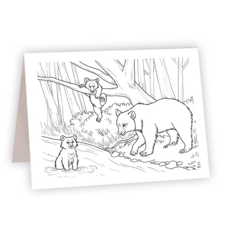 CARDS - COLOR NATURE & WILDLIFE