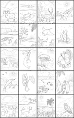 Discover Lanai<br/>expressive art<br/>coloring activity book