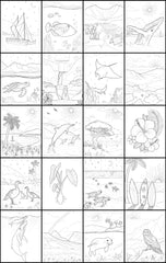 Discover Maui<br/>expressive art<br/>coloring activity book