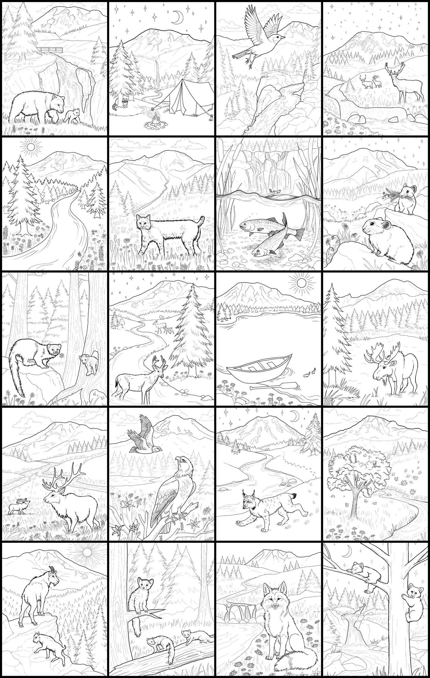 Discover Mt. Rainier