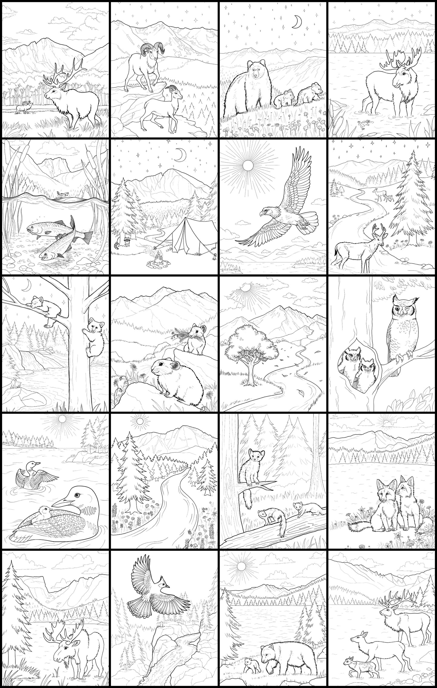 Discover Rocky Mountain