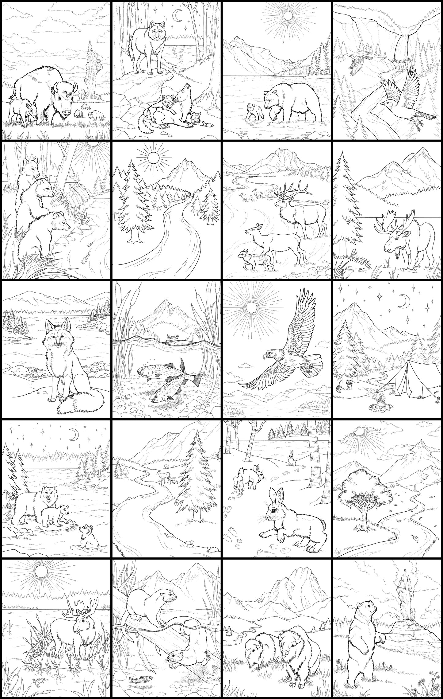 Discover Yellowstone