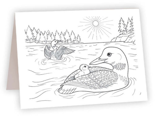 CCL01 - Common Loons