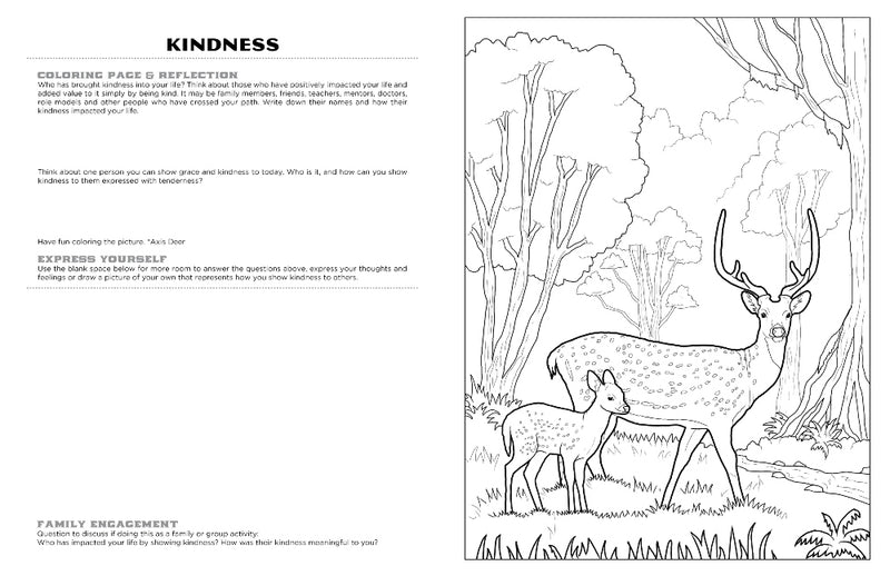 Discover Lanai<br/>expressive art<br/>coloring activity book