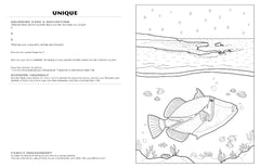 Discover Lanai<br/>expressive art<br/>coloring activity book