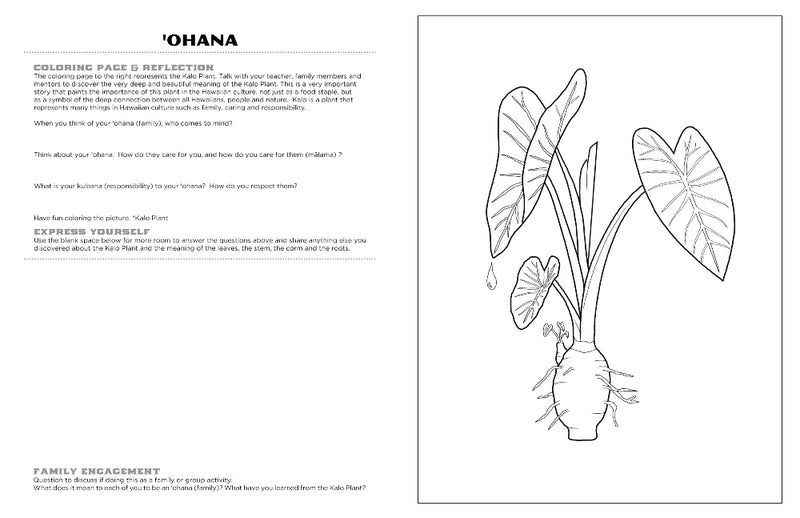 Discover Maui<br/>expressive art<br/>coloring activity book