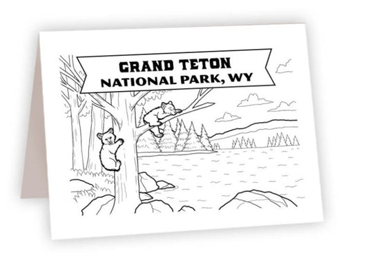 CCNP_39 - Grand Teton Bears tree