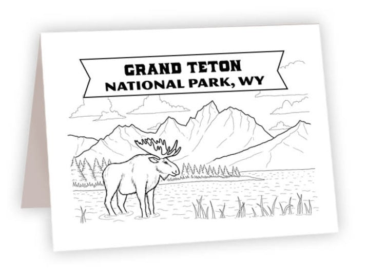 CCNP_42 - Grand Teton Moose