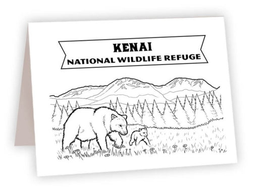 CCNP_27 - Kenai, Alaska Bear