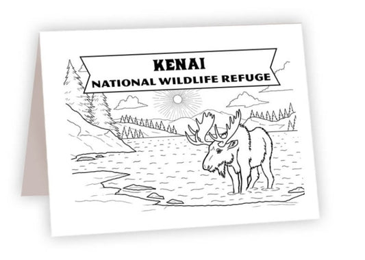 CCNP_28 - Kenai, Alaska Moose