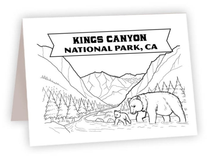 CCNP_22<br/>Kings Canyon Bear