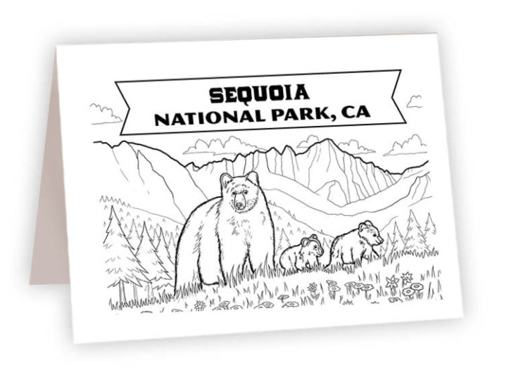 CCNP_19 - Sequoia Bear