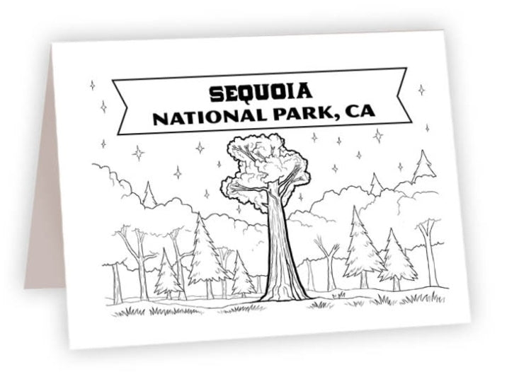 CCNP_21<br/>Sequoia Tree