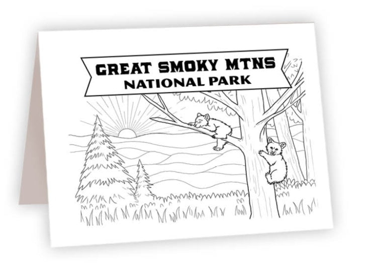 CCNP_31<br/>Smoky Mtns Bears