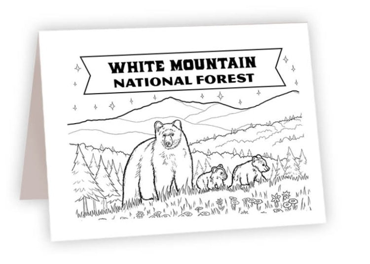 CCND_05 - White Mountain Bears