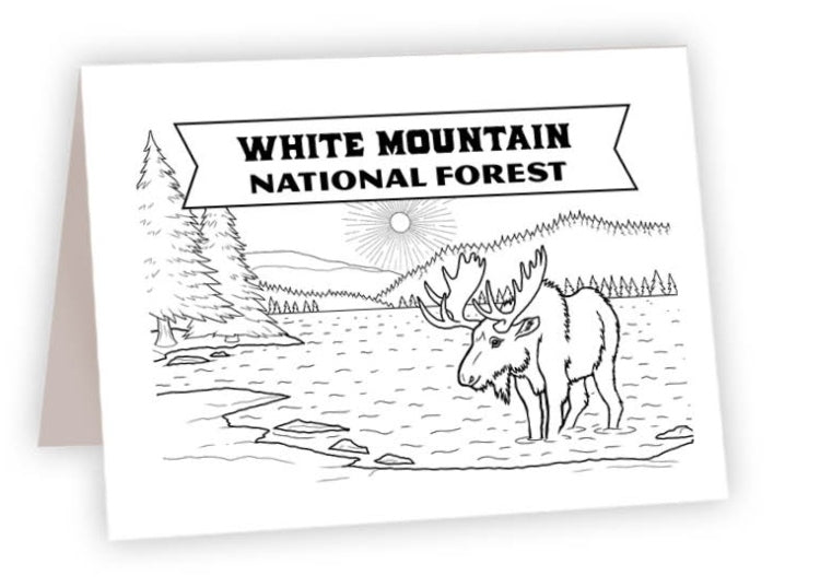 CCND_06 - White Mountain Moose