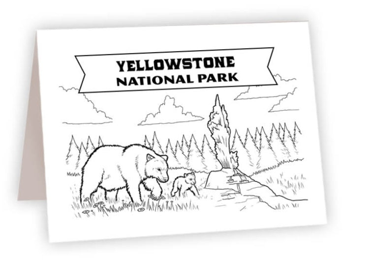 CCNP_32 - Yellowstone Bears