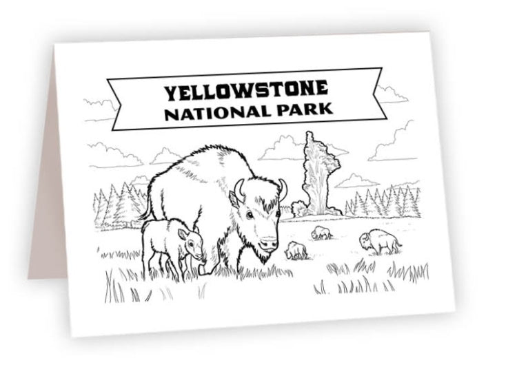 CCNP_33 - Yellowstone Bison