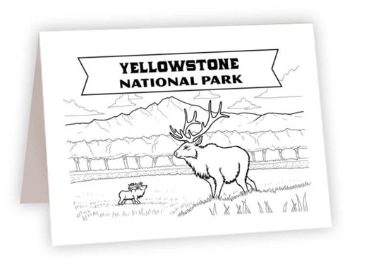 CCNP_36 - Yellowstone Elk