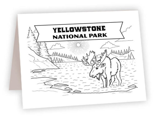 CCNP_35 - Yellowstone Moose