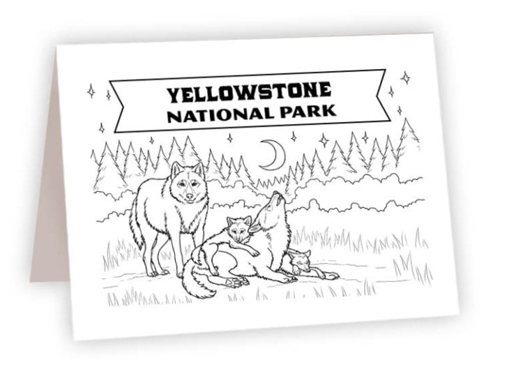 CCNP_34 - Yellowstone Wolves