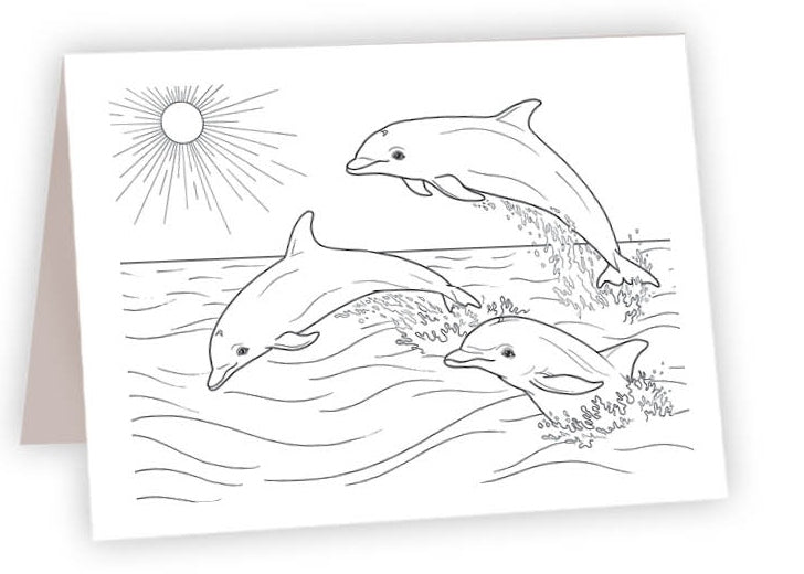 CCO_04 - Dolphin Pod