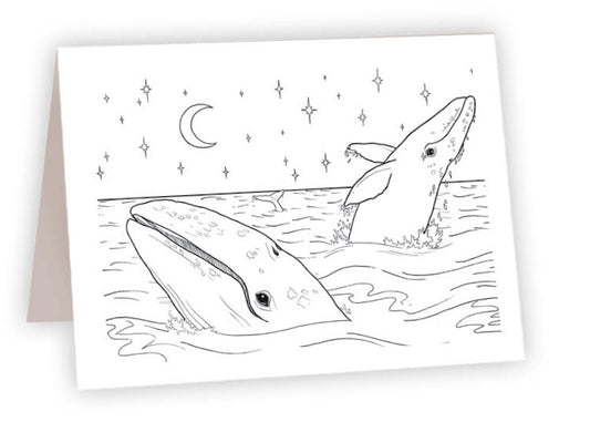 CCO_25 - Gray Whales