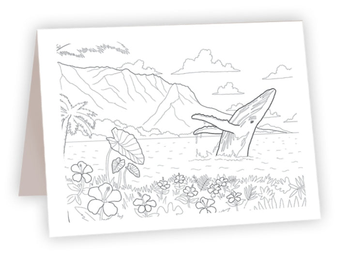Humpback Whale Tropical