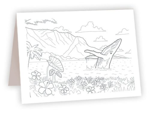 Humpback Whale Tropical