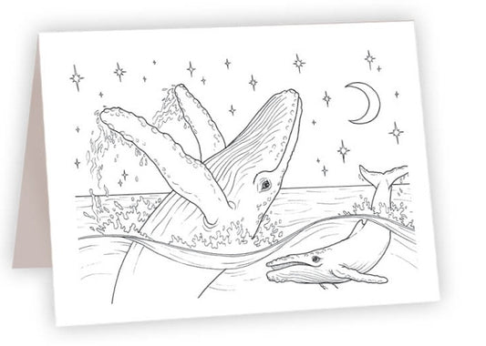 CCO_01 - Humpback Whales at night