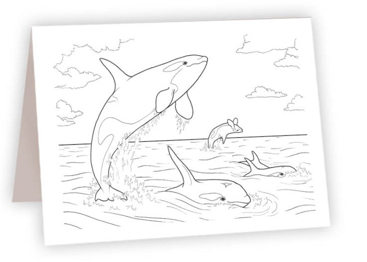 CCO_11 - Orca Whales