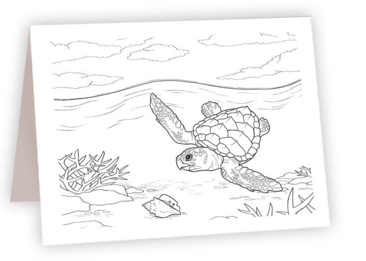 CCO_05 - Loggerhead Turtle