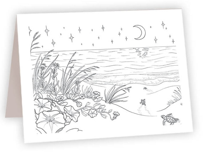 CCO_15 - Turtle Babies Coast View