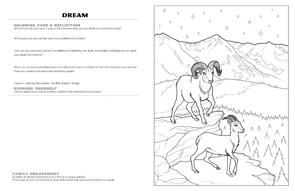 Discover Rocky Mountain