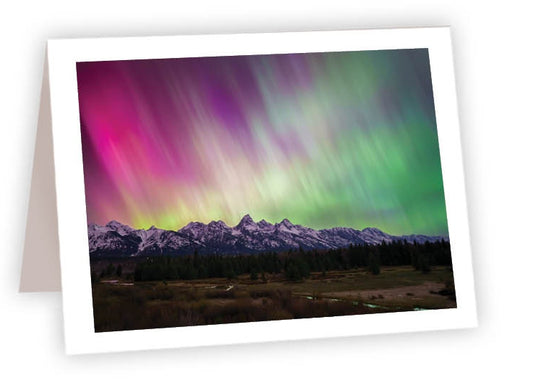 Northern Lights