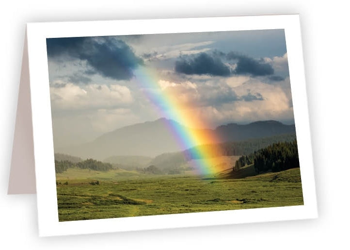 RN47 - Rainbow Glory